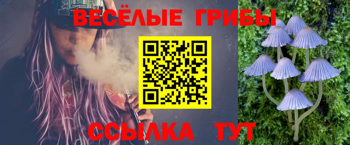 Галлюциногенные грибы прущие грибы  Вход с VPN  Армавир 